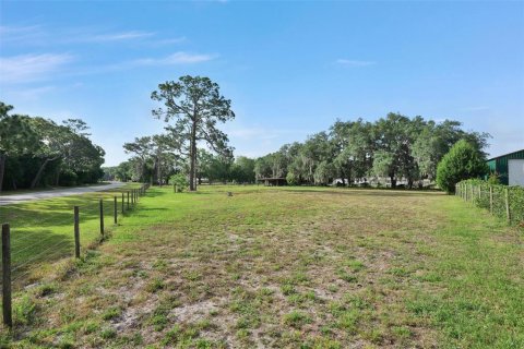 Villa ou maison à louer à Tarpon Springs, Floride: 3 chambres, 153.47 m2 № 1761351 - photo 29