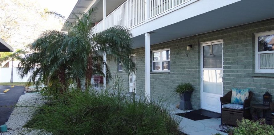 Condo à Saint Petersburg, Floride, 1 chambre  № 2436706