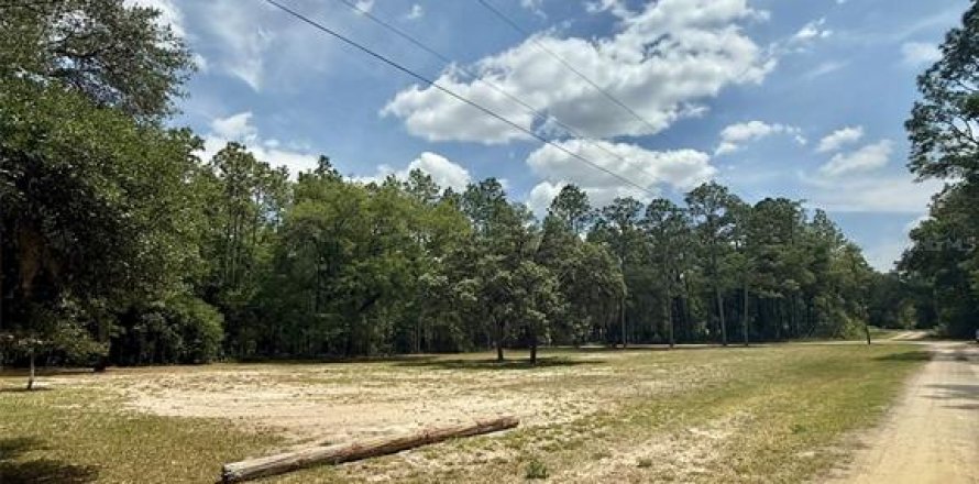 Land in Ocala, Florida № 2208737