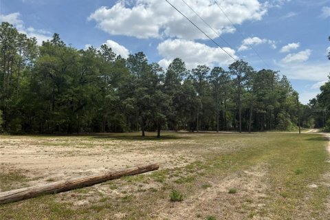 Land in Ocala, Florida № 2208737 - photo 2