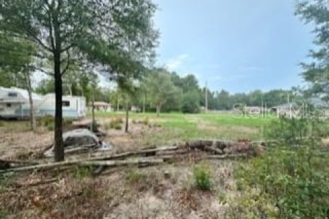 Land in Ocala, Florida № 2160208 - photo 5