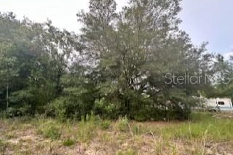 Land in Ocala, Florida № 2160208 - photo 4