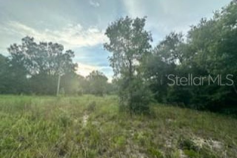 Land in Ocala, Florida № 2160208