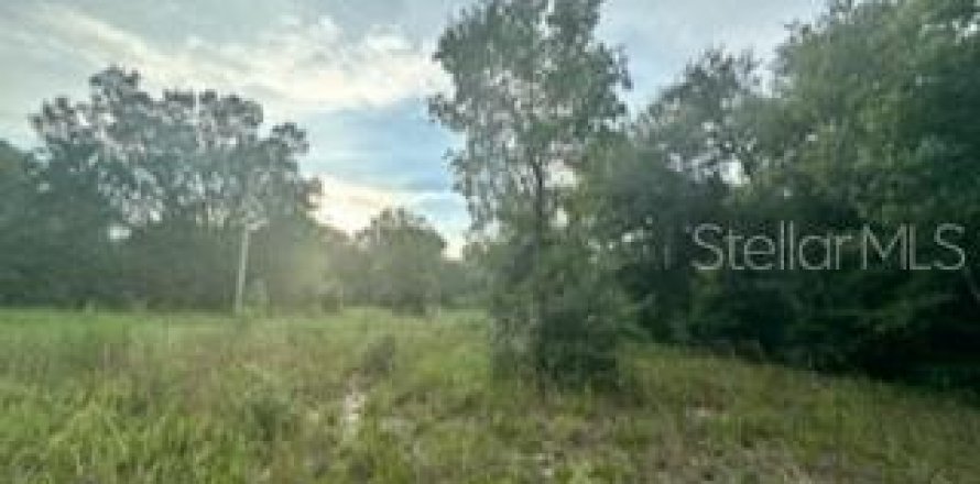 Land in Ocala, Florida № 2160208