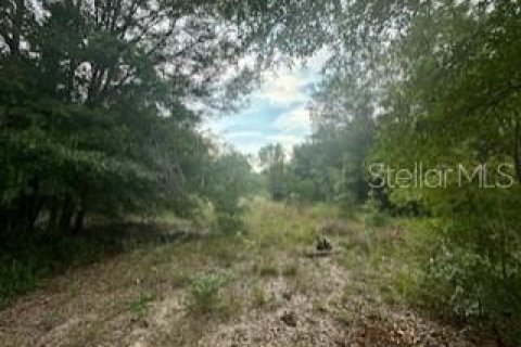 Land in Ocala, Florida № 2160208 - photo 3