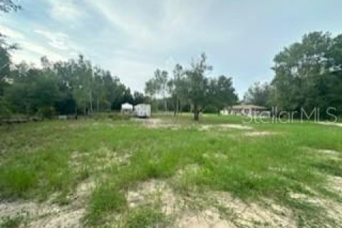 Land in Ocala, Florida № 2160208 - photo 2