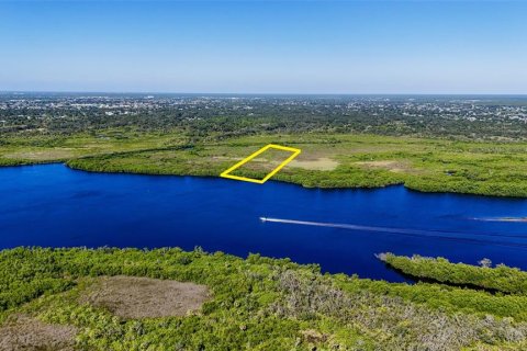 Terrain à vendre à Punta Gorda, Floride № 2162160 - photo 4