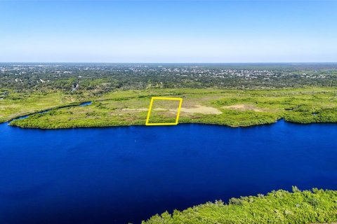 Terrain à Punta Gorda, Floride № 2162160