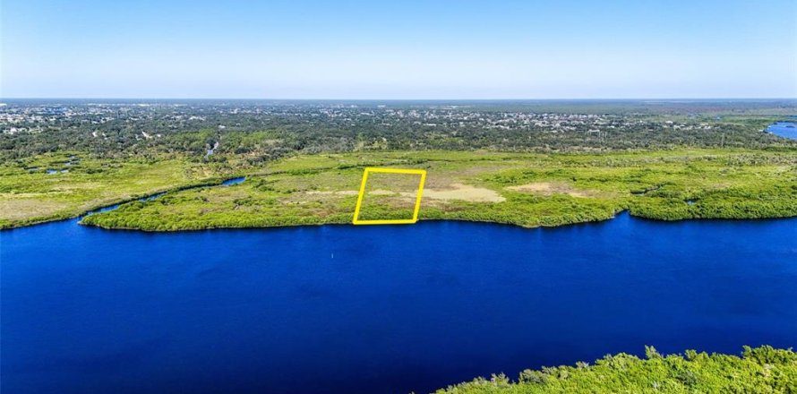 Terrain à Punta Gorda, Floride № 2162160