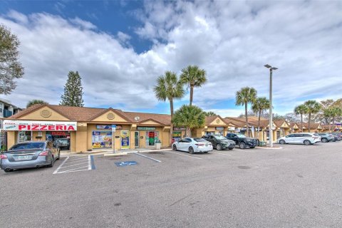 Immobilier commercial à louer à Tampa, Floride: 1283.72 m2 № 2166595 - photo 6