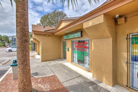 Immobilier commercial à louer à Tampa, Floride: 1283.72 m2 № 2166595 - photo 9