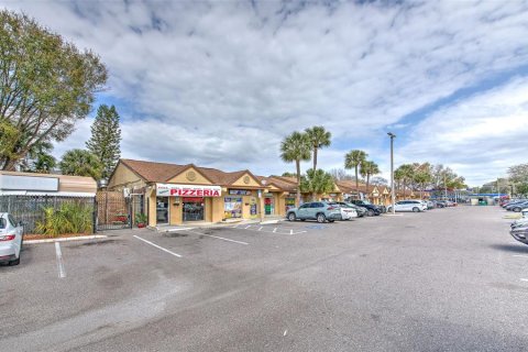 Immobilier commercial à louer à Tampa, Floride: 1283.72 m2 № 2166595 - photo 5