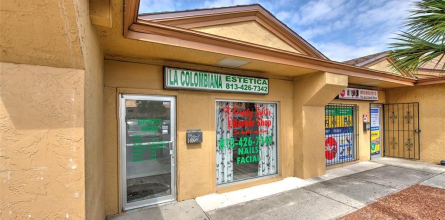 Immobilier commercial à Tampa, Floride 1283.72 m2 № 2166595