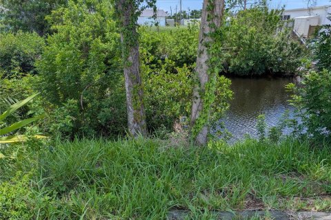 Land in Englewood, Florida № 1822942 - photo 3