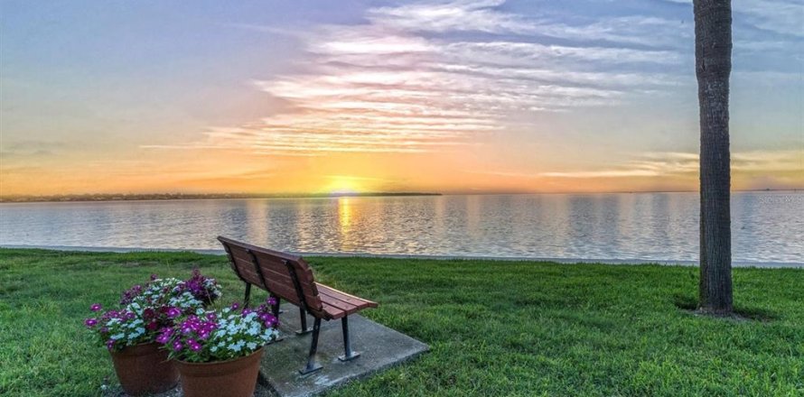 Condominio en Saint Petersburg, Florida, 2 dormitorios № 1833026