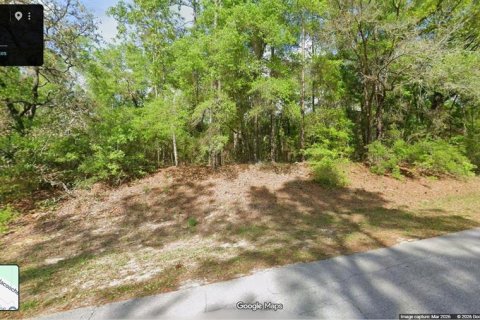 Land in Citrus Springs, Florida № 2280183