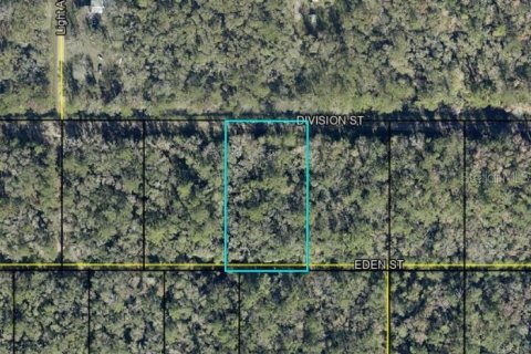 Land in Hastings, Florida № 2162299