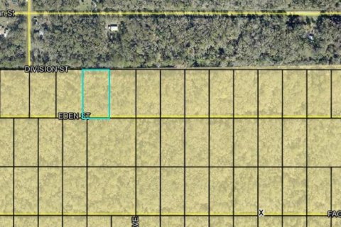 Land in Hastings, Florida № 2162299 - photo 3