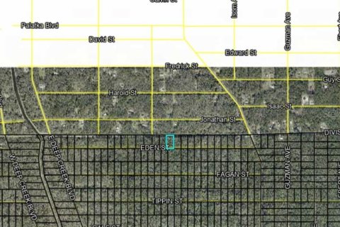 Land in Hastings, Florida № 2162299 - photo 2