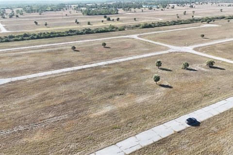Купить земельный участок в Пласида, Флорида № 2164996 - фото 24