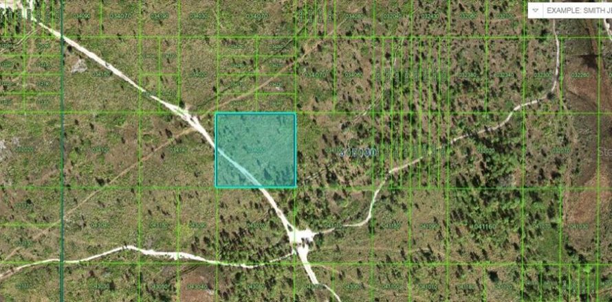 Terrain à Lake Wales, Floride № 2095932