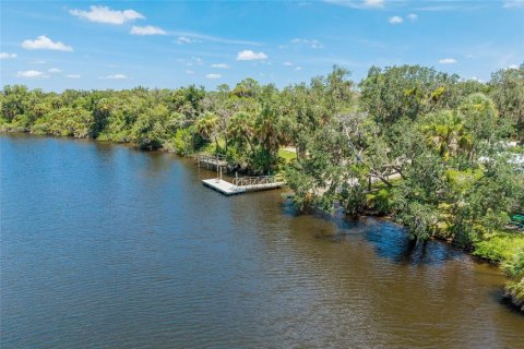 Villa ou maison à vendre à Parrish, Floride: 5 chambres, 367.15 m2 № 2220255 - photo 13