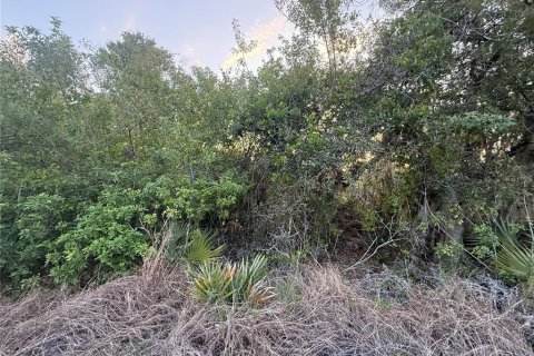 Land in Lake Placid, Florida № 2162488 - photo 4