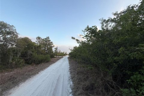 Land in Lake Placid, Florida № 2162488 - photo 5