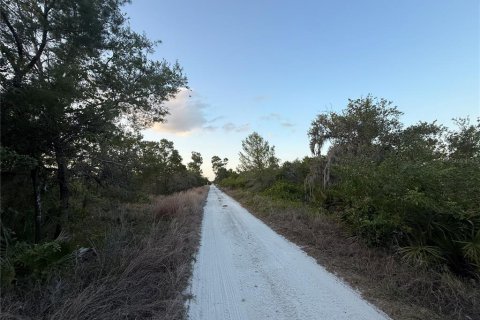 Land in Lake Placid, Florida № 2162488 - photo 6