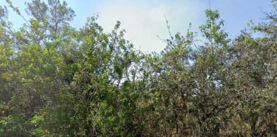 Land in Lake Placid, Florida № 2162488