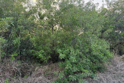 Land in Lake Placid, Florida № 2162488 - photo 2