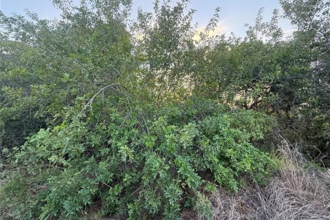 Land in Lake Placid, Florida № 2162488 - photo 3