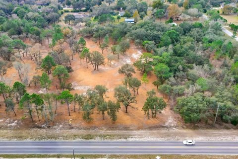 Land in Spring Hill, Florida № 1722485 - photo 2
