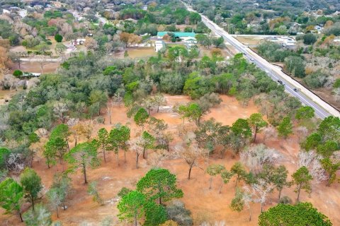 Land in Spring Hill, Florida № 1722485 - photo 9