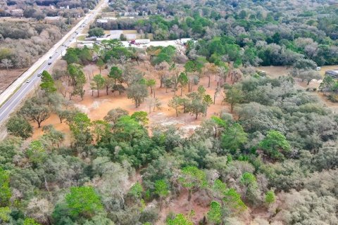 Land in Spring Hill, Florida № 1722485 - photo 6