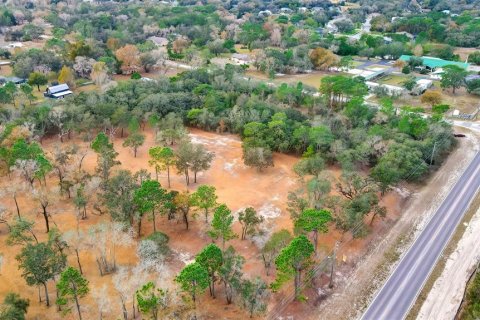 Land in Spring Hill, Florida № 1722485 - photo 4