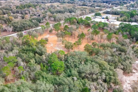 Land in Spring Hill, Florida № 1722485 - photo 7