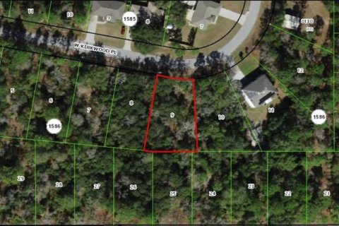 Land in Dunnellon, Florida № 1720931 - photo 1