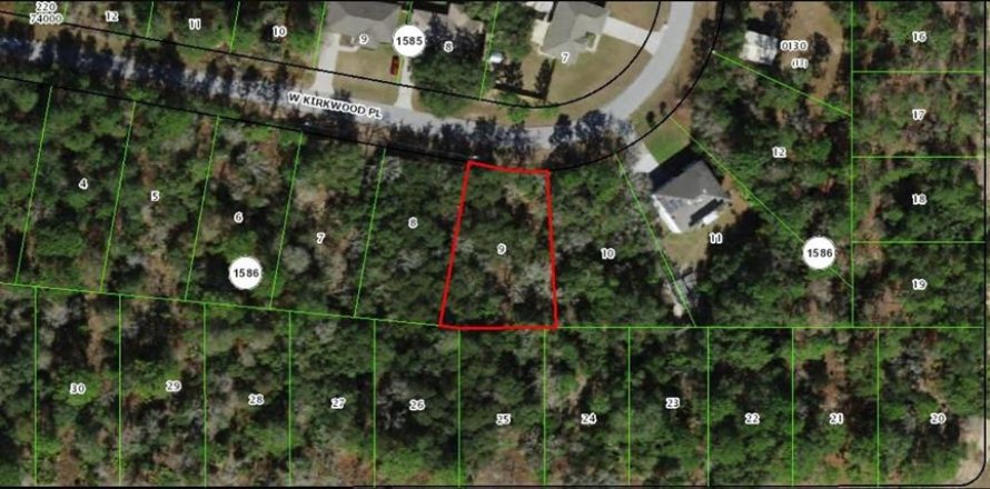 Land in Dunnellon, Florida № 1720931