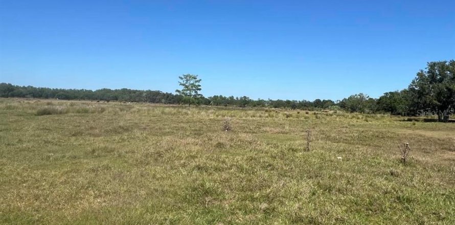 Land in Myakka City, Florida № 1651171