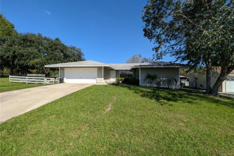 Villa ou maison à Lecanto, Floride 3 chambres, 161.84 m2 № 2427283