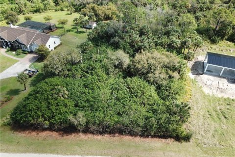 Land in Alva, Florida № 1581004 - photo 5