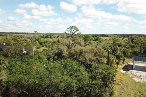 Land in Alva, Florida № 1581004 - photo 6