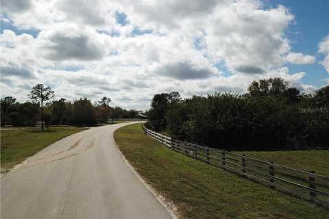 Land in Alva, Florida № 1581004 - photo 13