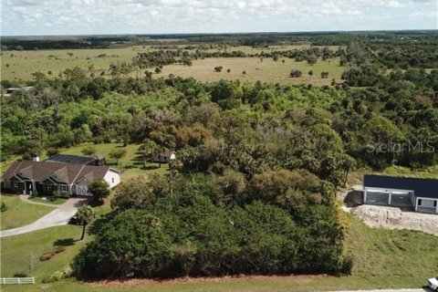 Land in Alva, Florida № 1581004 - photo 1
