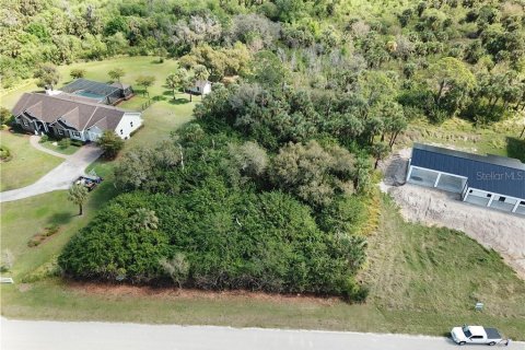 Land in Alva, Florida № 1581004 - photo 7
