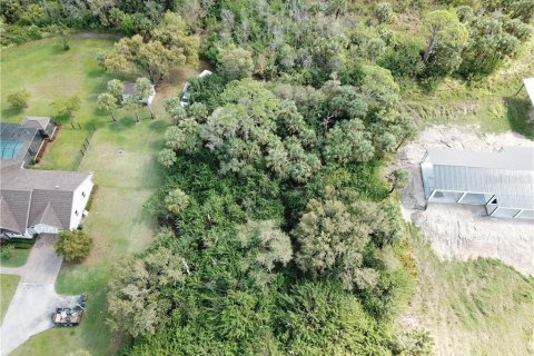 Land in Alva, Florida № 1581004 - photo 12