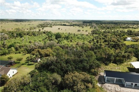 Land in Alva, Florida № 1581004 - photo 11