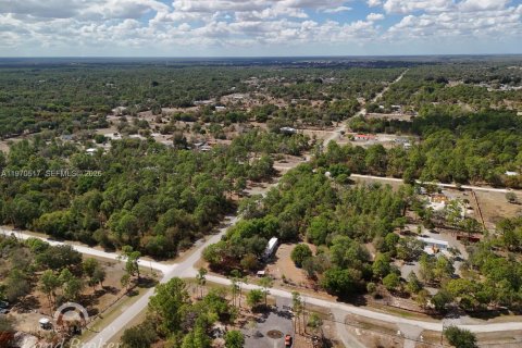 Купить земельный участок в Клуистон, Флорида № 2031282 - фото 10