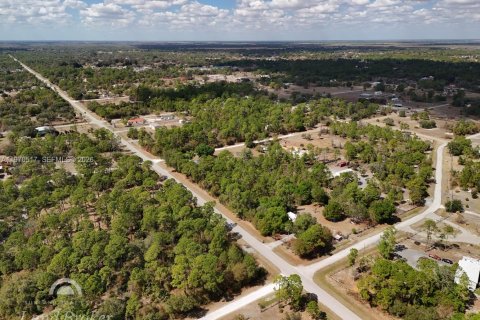 Купить земельный участок в Клуистон, Флорида № 2031282 - фото 7